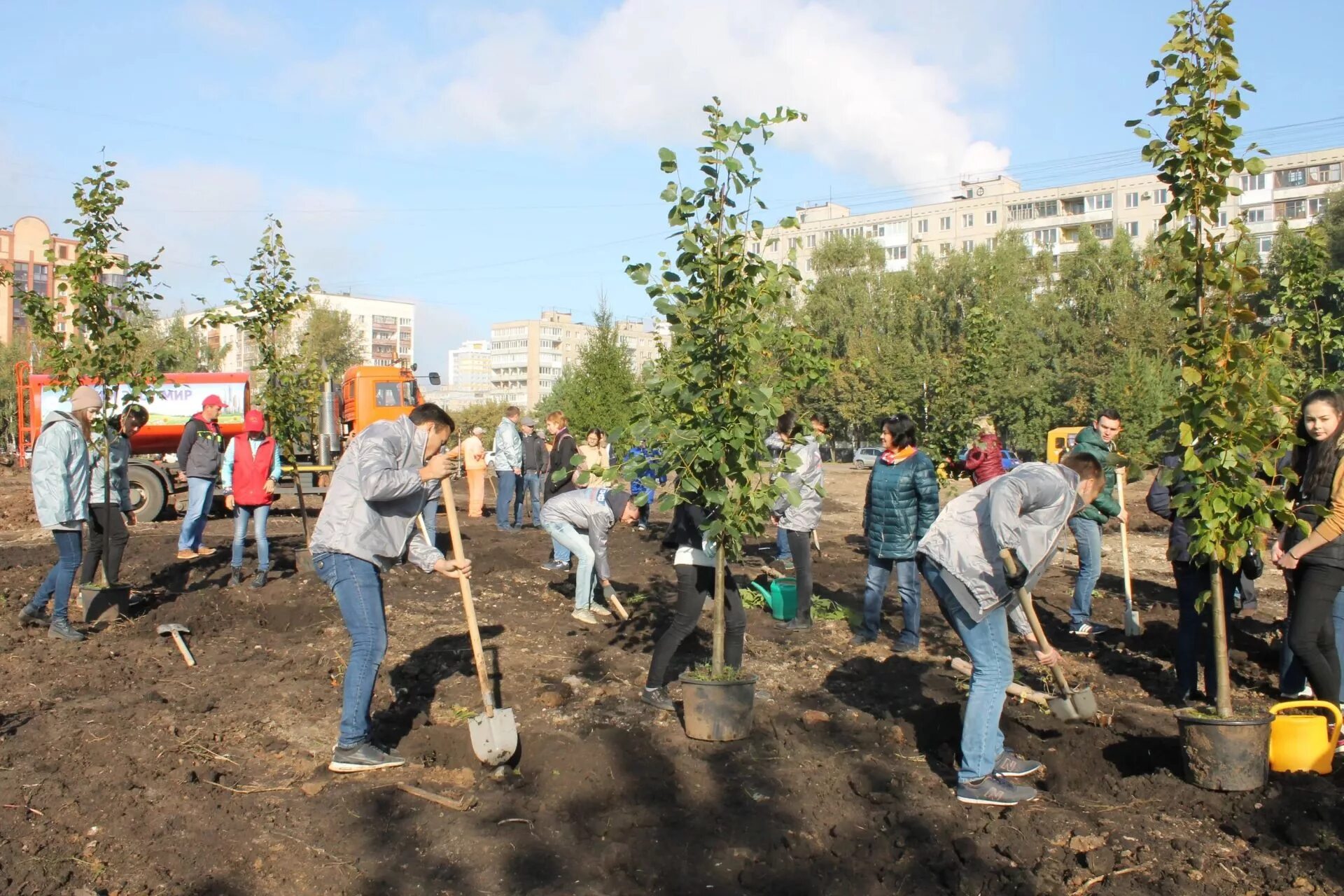 рассада цветов. гбу озеленение тверь. посадка деревьев в городе озеленение. посадка деревьев в городе. зеленстрой курск.