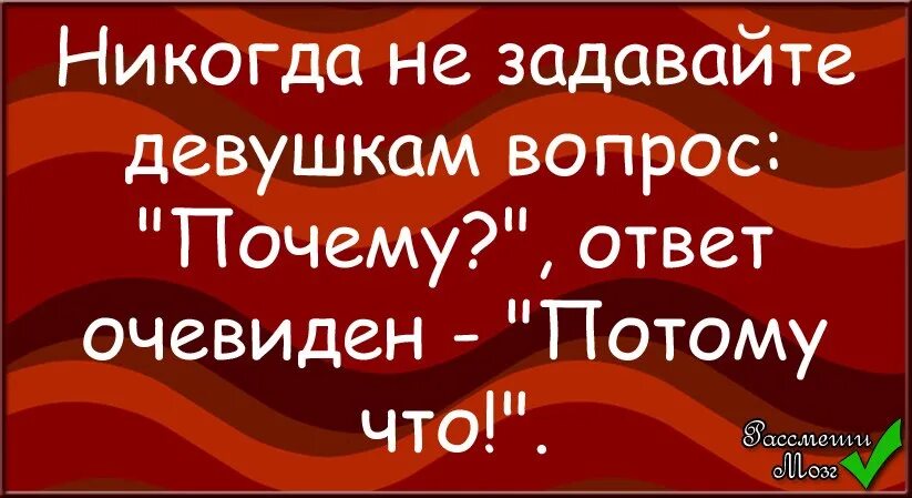 Никогда не задавай