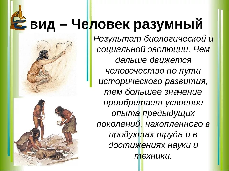 Почему человек вид человек разумный. Человек разумный. человек разумный характеристика. вид человек разумный. человек разумный кратко.
