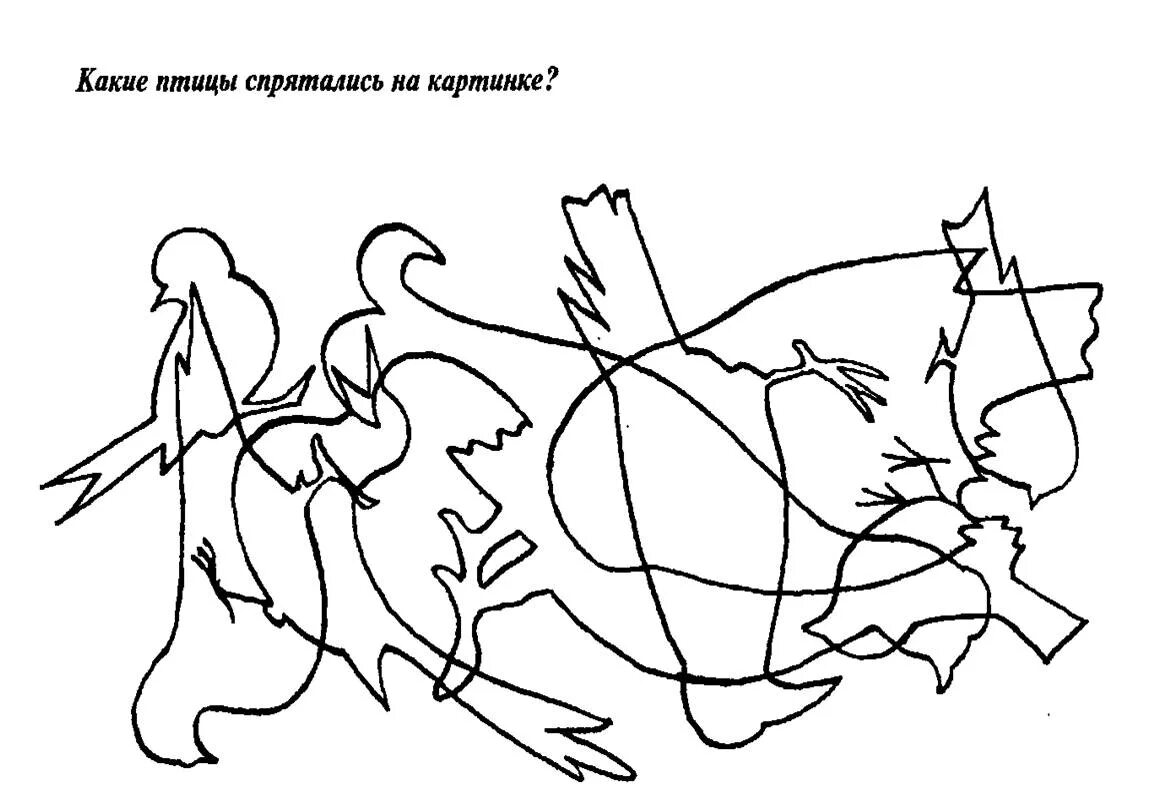 Зимующие птицы задания для дошкольников от логопеда. Зимующие птицы задания для дошкольников от логопеда