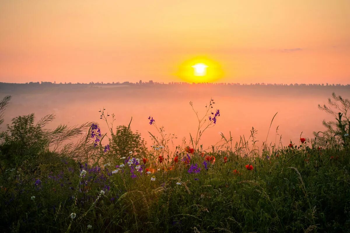 Красивый рассвет. Летний рассвет. Природа рассвет. Рассвет летом. Село зорьки