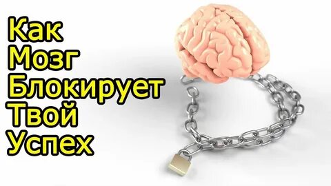 Делать мозги что это