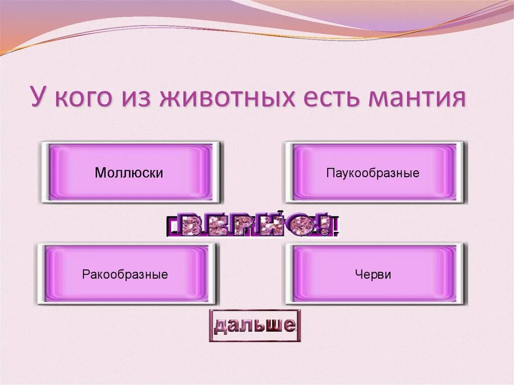 Строение мантийной полости. Мантийная полость у хитонов. Строение моллюсков мантия и мантийная полость. Строение мантийной полости моллюска. Мантийная полость это пространство.
