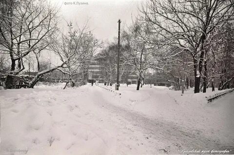 Январь 1989 года
