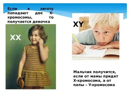Почему не получается сын