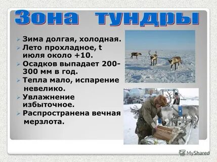 Природные условия продолжительная холодная зима