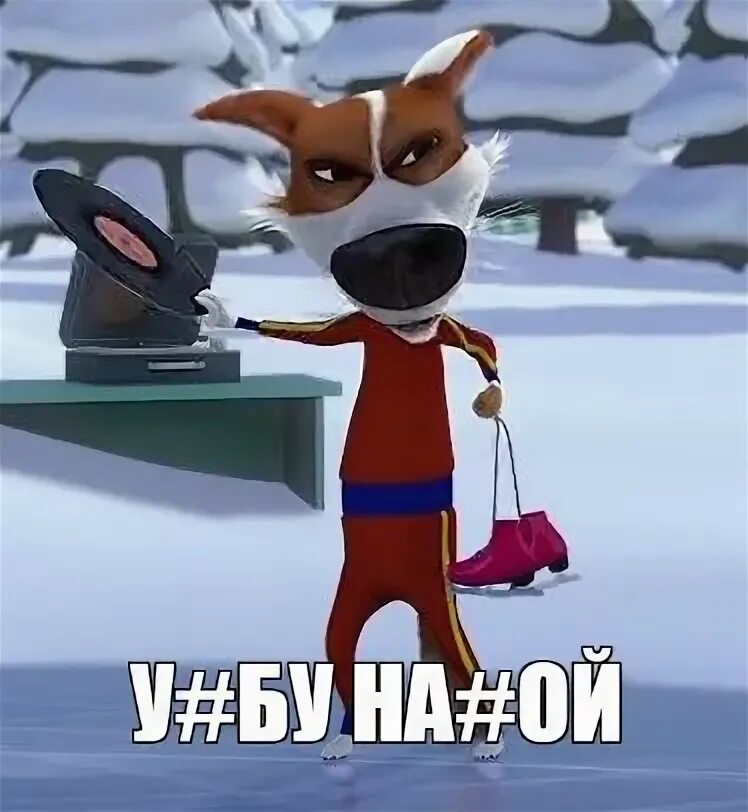 Полностью провалилась мем. Мемы про стрелки. Собака стрелка мем. Олимпийские стрелки мем. Гиркин мемы полностью провалилась.