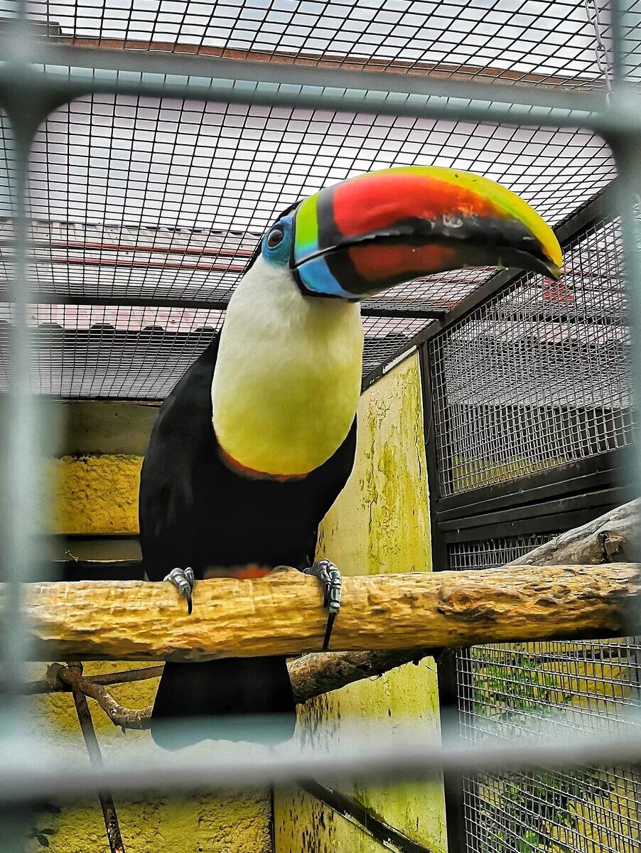 Парк птиц наро-фоминский район. Найти парк птиц. Найти парк птиц. Парк птиц воробьи. Парк птиц калуга.