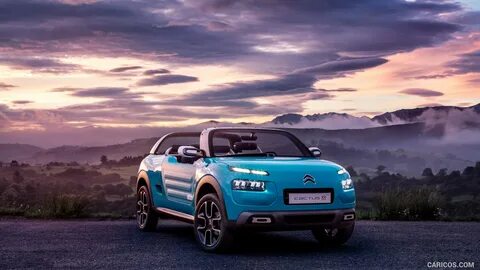 Citroen cactus