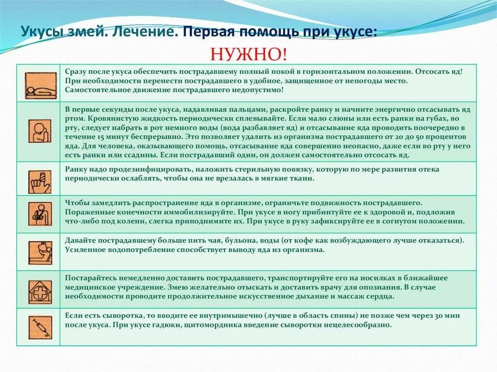 Помощь при укусе змеи. Оказание первой помощи при укусах. первая помощь при укусах змей. при укусах змей необходимо. порядок оказания помощи при укусе змеи.