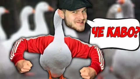 Гусь футболист