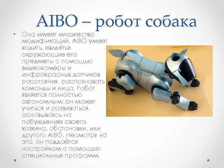 Описание робота человека. Информация о робот-собака Aibo. Собака робот Айбо. Сообщение о роботе собаке. Робот собака презентация.