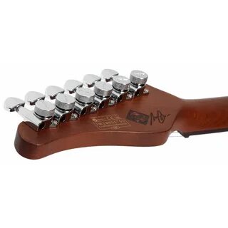 Schecter nick