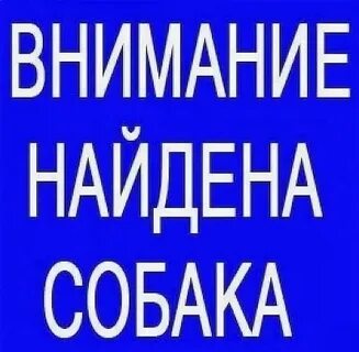 Внимание найдена