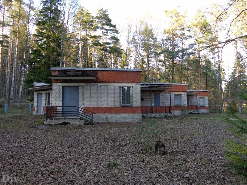 детский лагерь алые паруса сайт. алые паруса заброшенный лагерь в шепси. заброшенный детский лагерь алые паруса песочное. детский лагерь алые паруса сайт. лагерь алые паруса гурьевск.