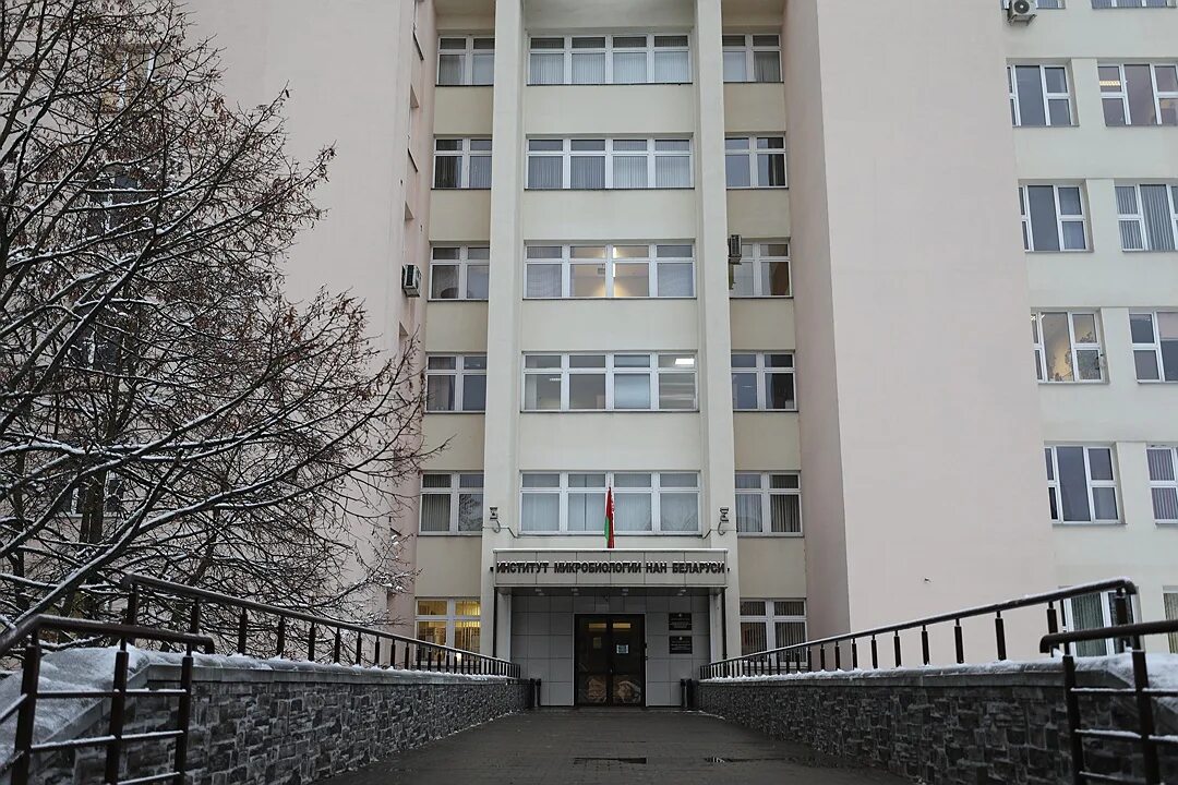Инми. Университет микробиологии. Институт микробиологии национальной академии наук беларуси. Университет микробиологии. С.