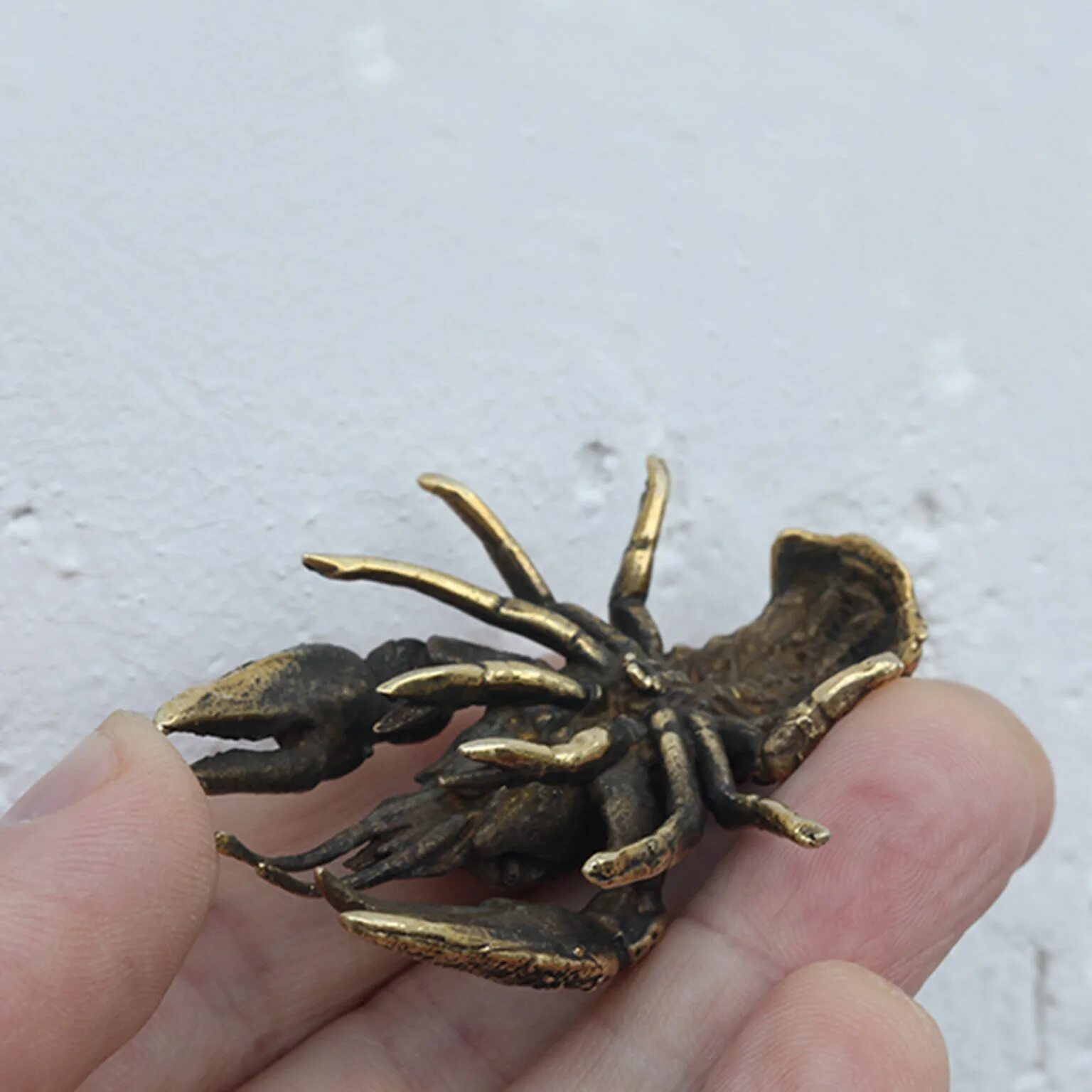 Миниатюрные вазочки из дерева цена. Миниатюра рак. Cambarellus patzcuarensis. Миниатюра рак. Миниатюра рак.