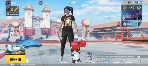 Playerok 4 net