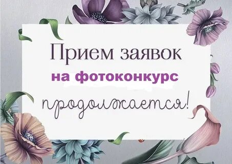 Ждем ваших заявок