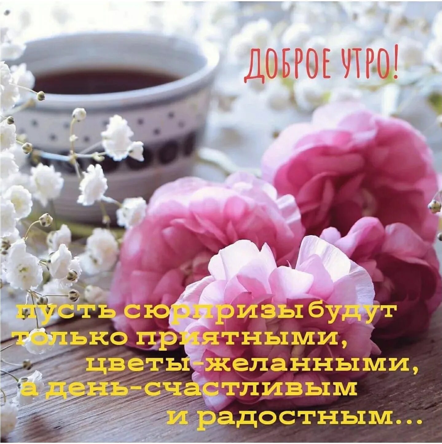 Доброе утро и хорошего дня от души. Утренние пожелания. стильные пожелания с добрым утром. открытки с добрым утром воскресенья. утренние пожелания на день.
