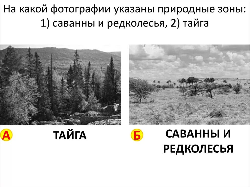 В какой из указанных природных