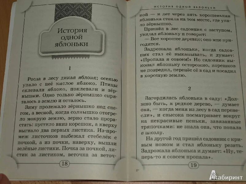 История одной яблоньки. Ушинский Яблонька. История яблоньки Ушинский. Ушинский Яблонька сказка.