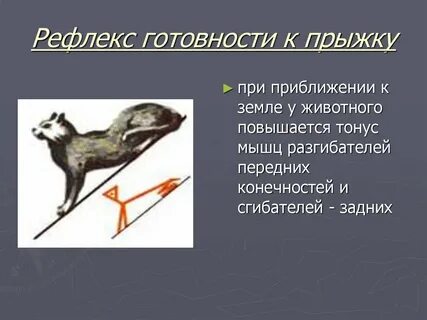 Безусловные рефлексы животных
