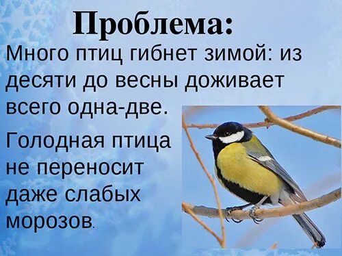 Зачем птицам. Трудности зимующих птиц. Проект кормление птиц. Подкормите птиц зимой проект. Проект зимующие птицы.