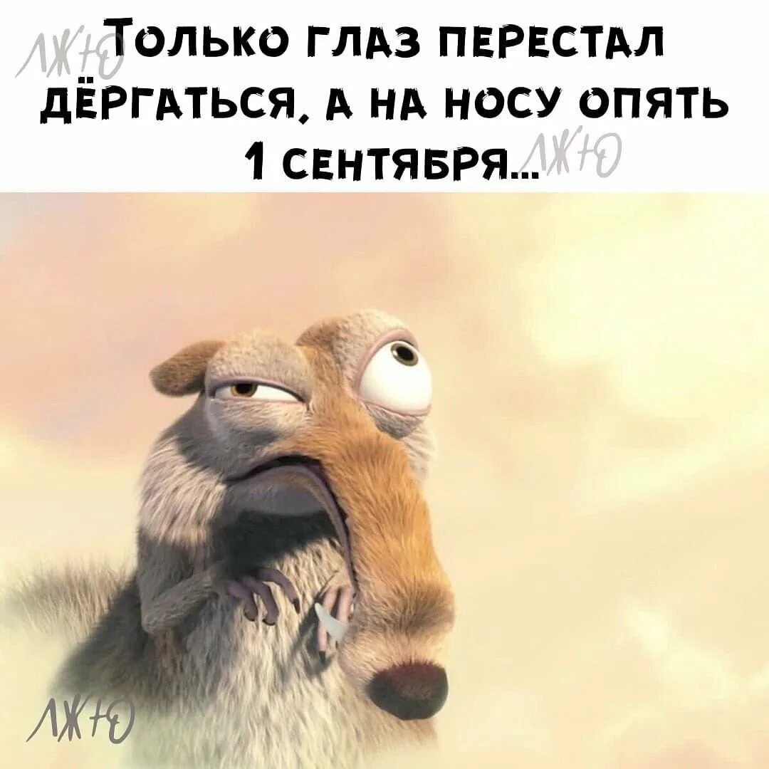 Дергается глаз. Только глаз перестал дергаться. дергается глаз картинки с юмором. слон с дергающимся глазом. только глаз перестал дергаться а на носу первое сентября.