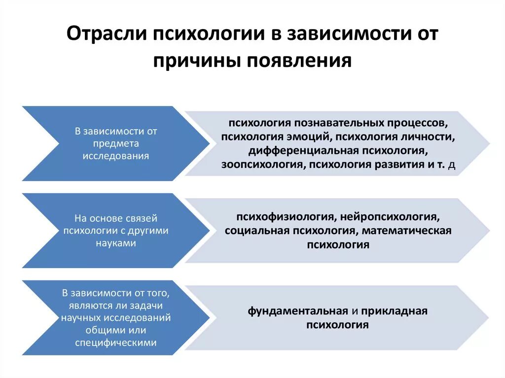 Отрасли психологии. Основные отрасли психологии. Прикладные отрасли психологии. Классификация отраслей психологии.