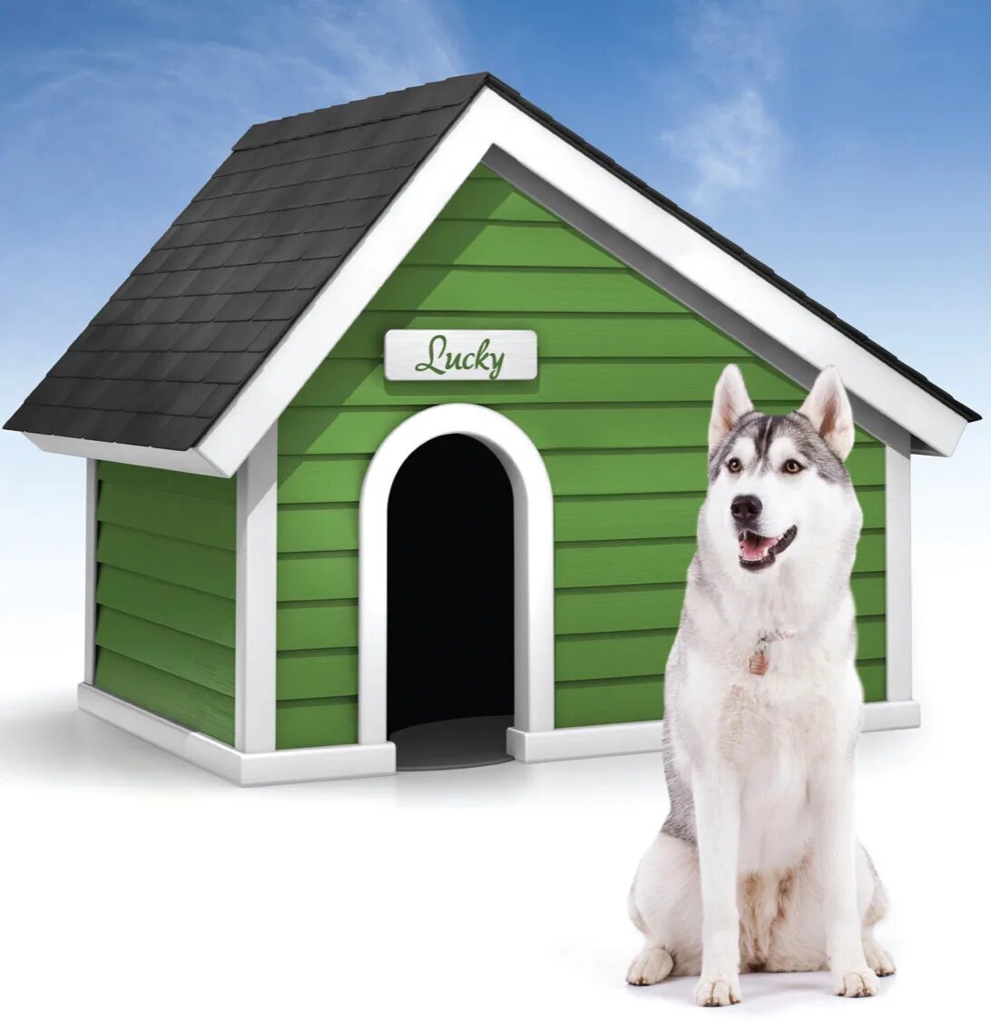 Дог хаус демо dogs house net. Будка для собаки хаски. Дом для собаки. Красивые собачьи будки. Собака с конурой.