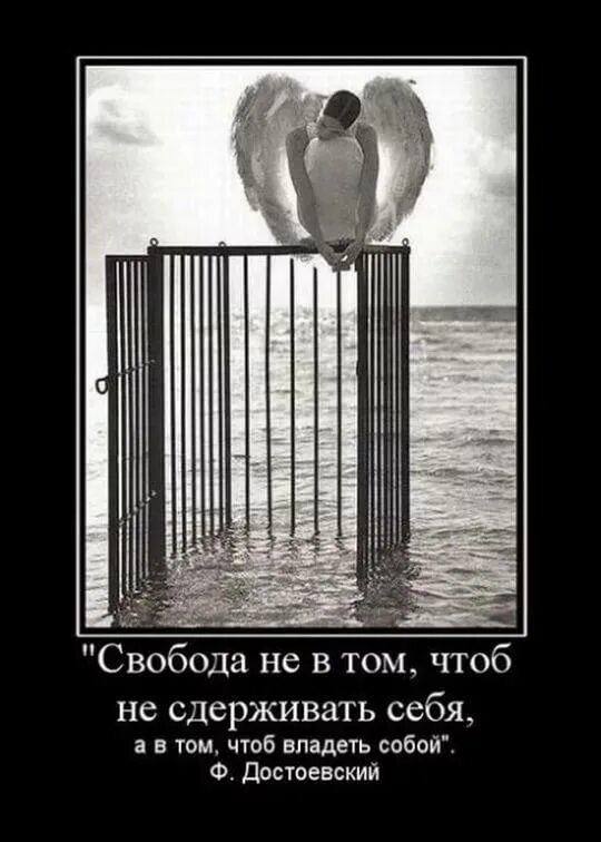 Прикольные фразы про свободу. Untitled i jacob l. Игра рабство 2. Картинки свобода от отношений. Цитаты про свободу от отношений.