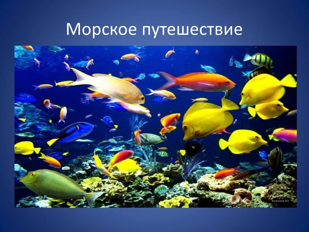 Великий разнообразный