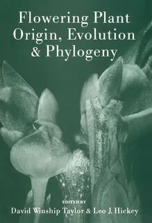 Plant origin