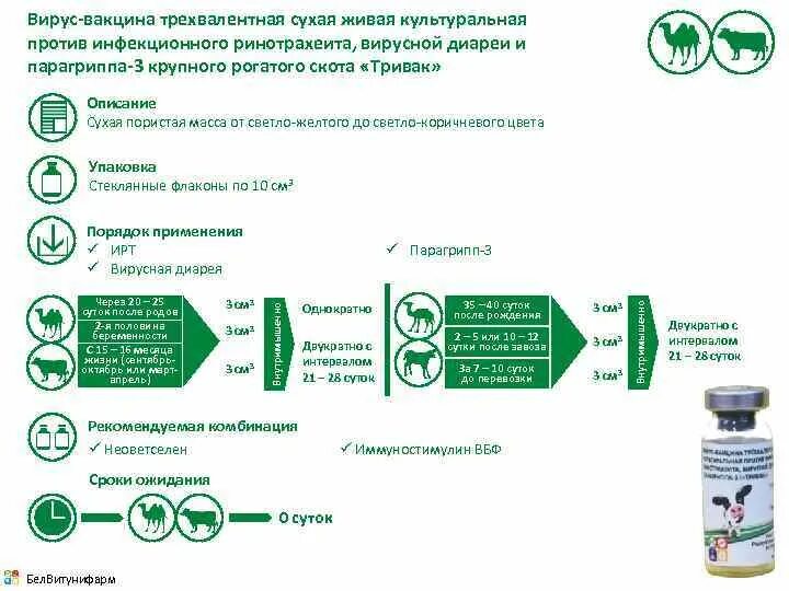 Вакцинация парагриппа-3 КРС. Вакцина парагриппа 3 и инфекционного ринотрахеита вирусной диареи. Вакцина против инфекционного ринотрахеита КРС. Вакцинация телят против ринотрахеита, парагриппа 3.