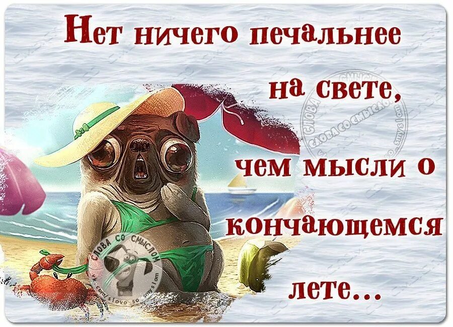 Лето быстро кончилось. Открытки с отпуском. открытки конец отпуска. открытки с окончанием отпуска. статусы про лето.