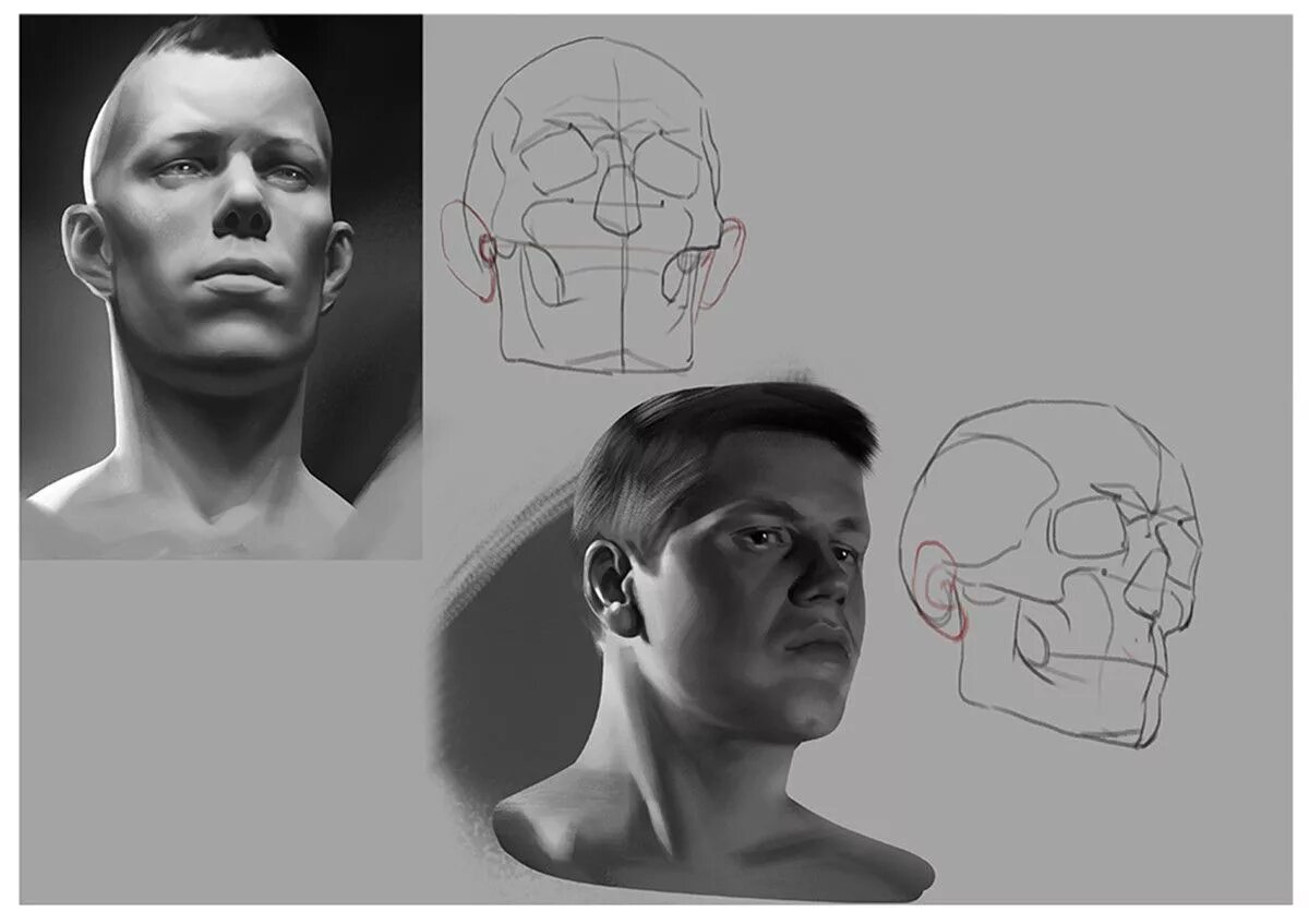 Head forms. Голова в разных ракурсах. Голова человека. Лицо с разных ракурсов. Голова человека ракурсы.