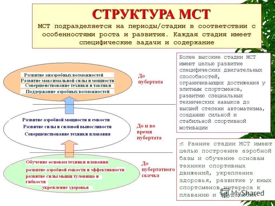 законы исторического развития. основные стадии жизненного цикла организации таблица. этапы решения и приемы выполнения текстовых задач. последовательность этапов жизненного цикла продукта. на каждом этапе стояли.