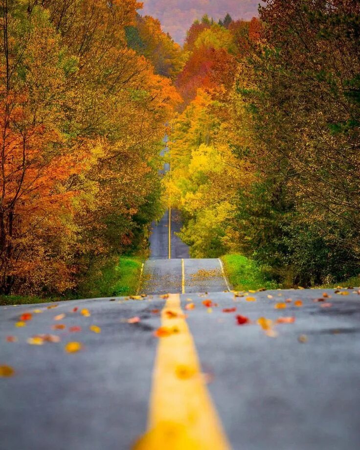 Fall in sight