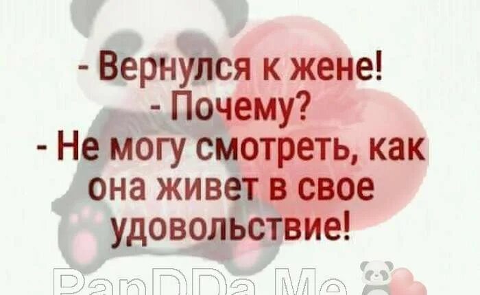 Вернулся к жене почему. Вернулся к жене почему