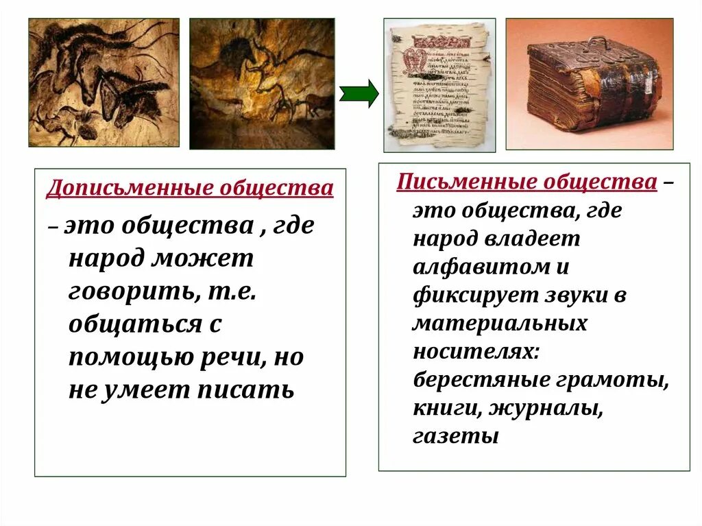 Что является обществом примеры