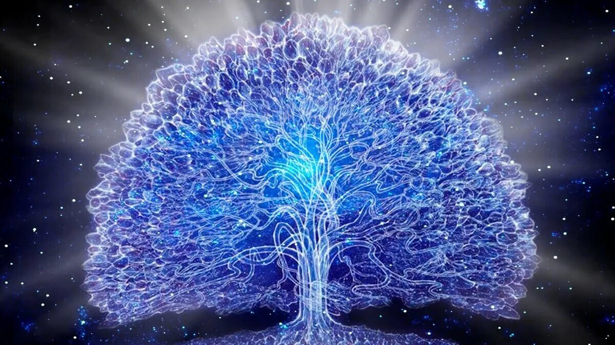 Дерево инь янь. Сила славянского рода. Любовь рода. Духи предков. Жозефина уолл дерево тысячелетия.