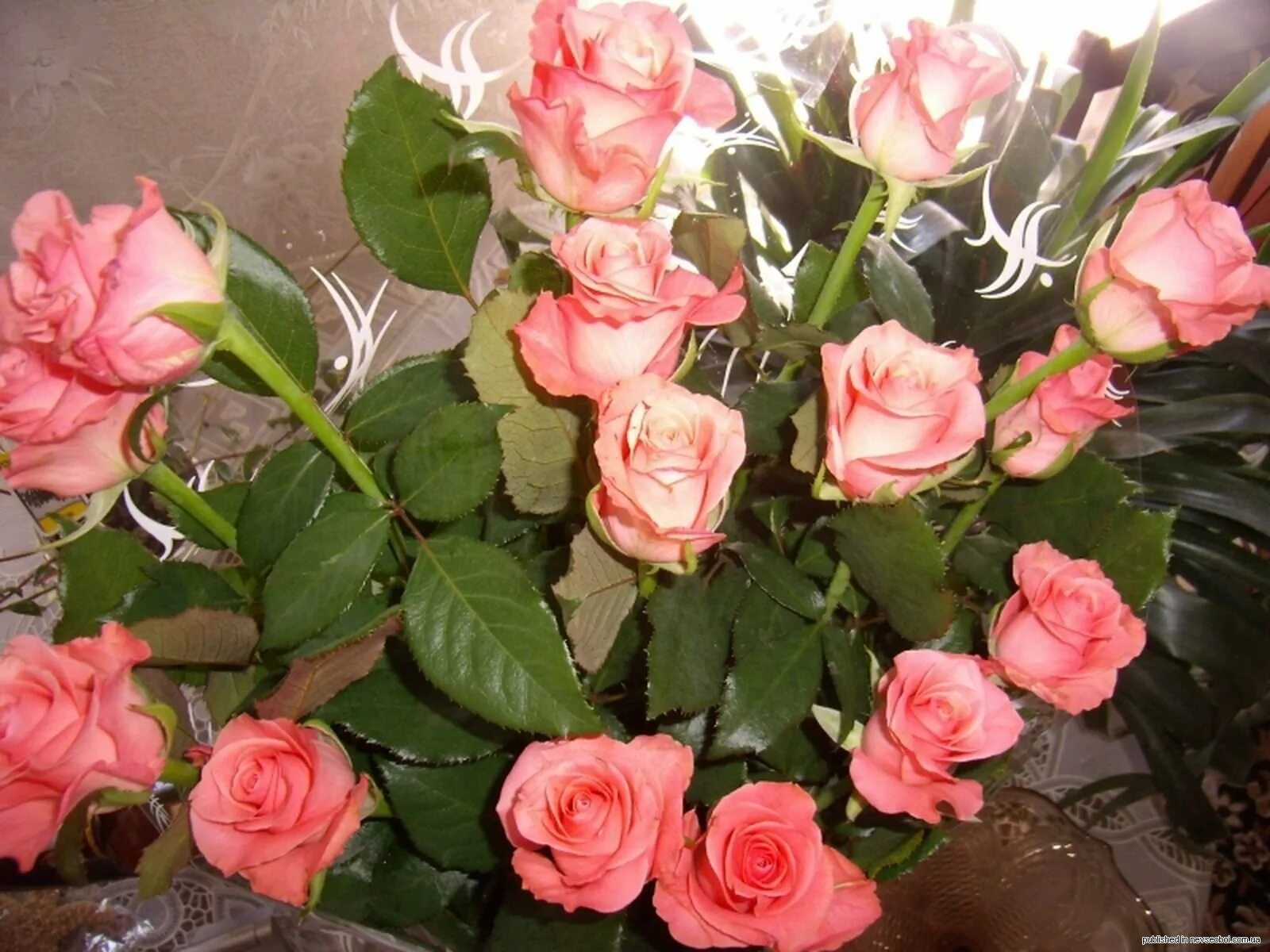 Фото реальных букетов цветов дома. Розы Marilena. Красивый букет дома. Букет роз дома.
