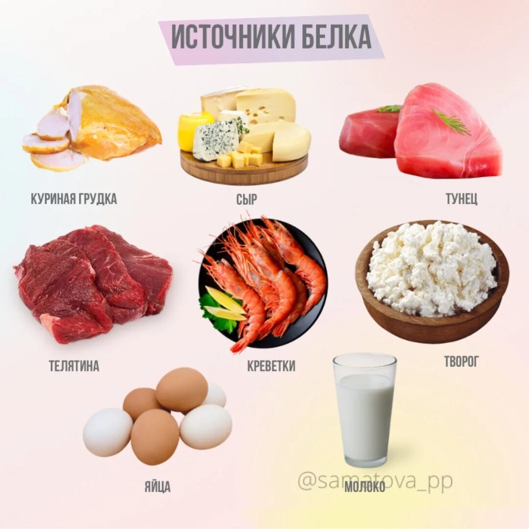 Где находятся белки. Белок. Источники белка в продуктах. Белковые продукты. Высокобелковые продукты.