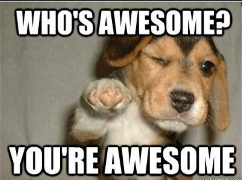 Who s better. You awesome. картинки с i want awesome. who is awesome. you are amazing мем.