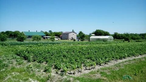 Село петровичи приморский край