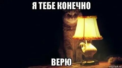 Конечно тебе не верю