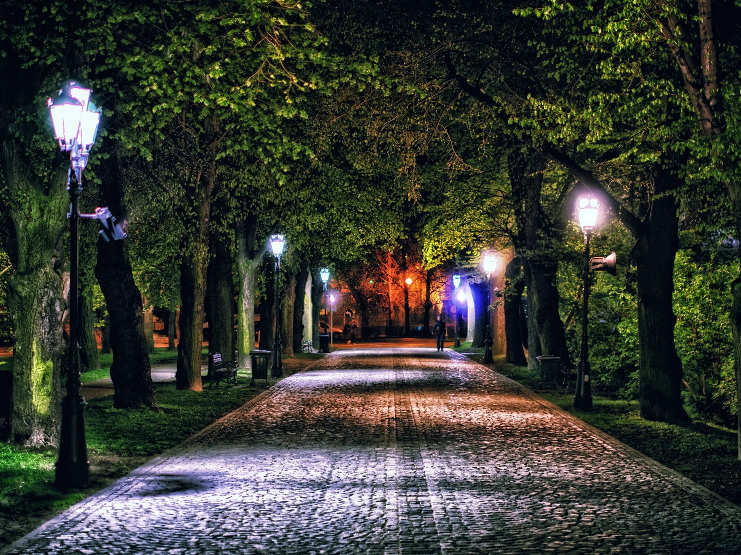 Аллея в городе