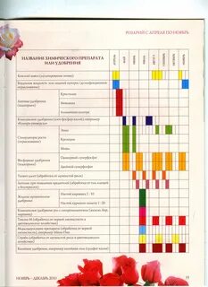 Расписание роз