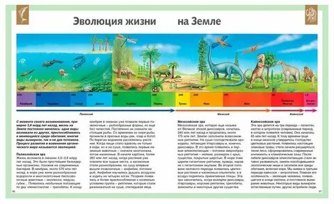 Развитие жизни на земле видео